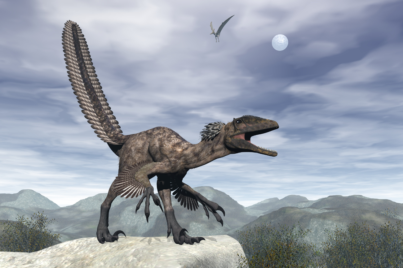 Discover the Biggest Velociraptor Ever Found