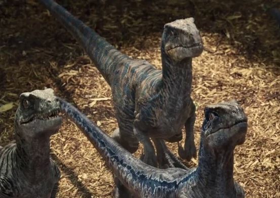 Discover the Biggest Velociraptor Ever Found
