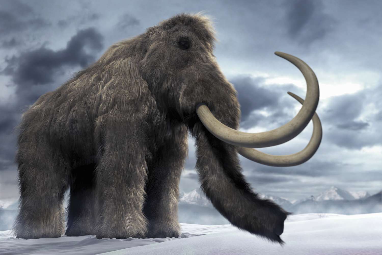 Top 10 Ice Age Animals